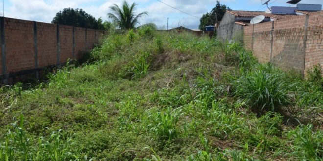 DENGUE AVANÇA EM ALTEROSA EM MEIO AO DESCASO COM LIMPEZA DE TERRENOS