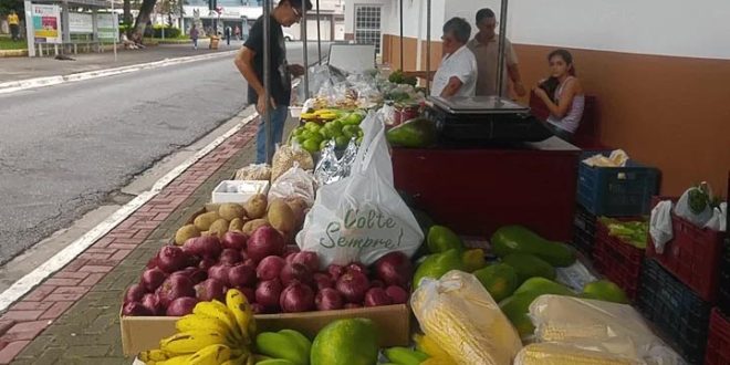 SUL DAS GERAIS A PROCURA SIGNIFICATIVA DE PRODUTOS ORGÂNICOS PARA SE ALIMENTAREM