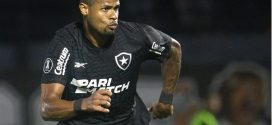 BOTAFOGO GOLEIA O BOAVISTA E JÚNIOR SANTOS É EXALTADO PELA TORCIDA