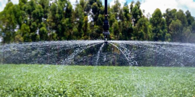 NOVA LEI GARANTE IRRIGAÇÃO SUSTENTÁVEL